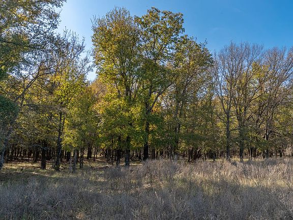 Owner Finance Land in Brown County with Large Oak Trees and Homesites