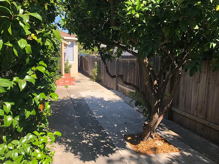 969 Rose Ave — Photo 5