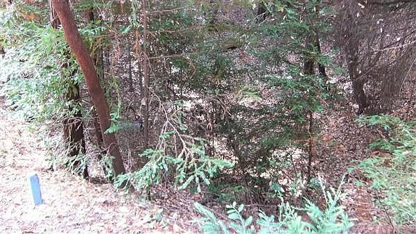 2nd image of 23620 Ridge Rd