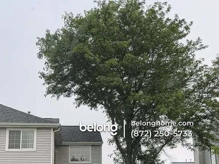1157 E Cambria Ln S — Photo 2