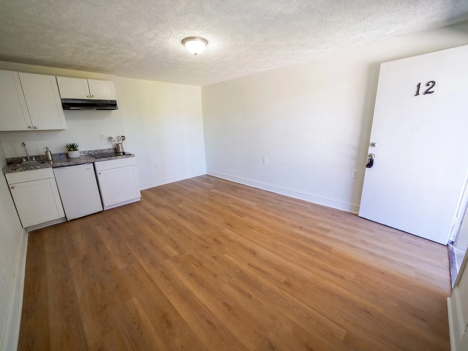 Studio, 450 sqft, $1,100 — Photo 4