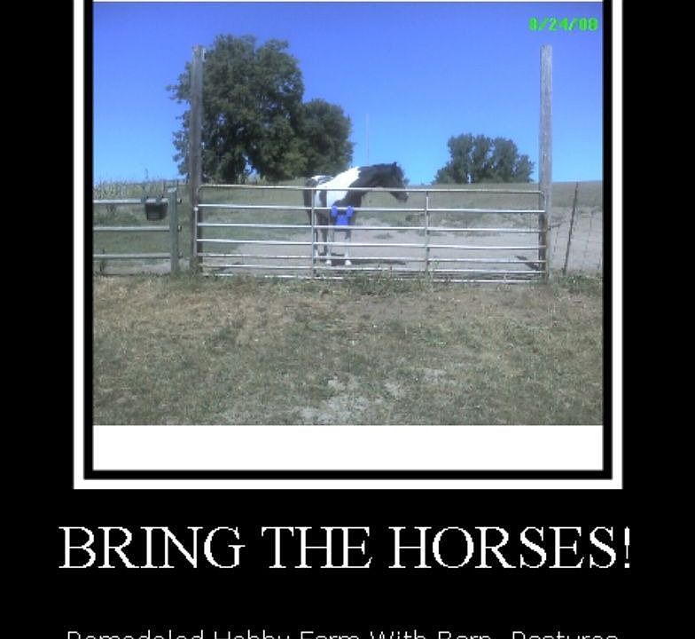 4 Acres Set up For Horses