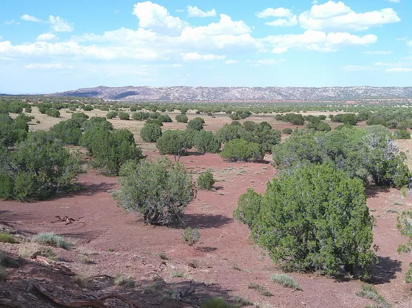 Concho Hwy #5, Concho, AZ 85924