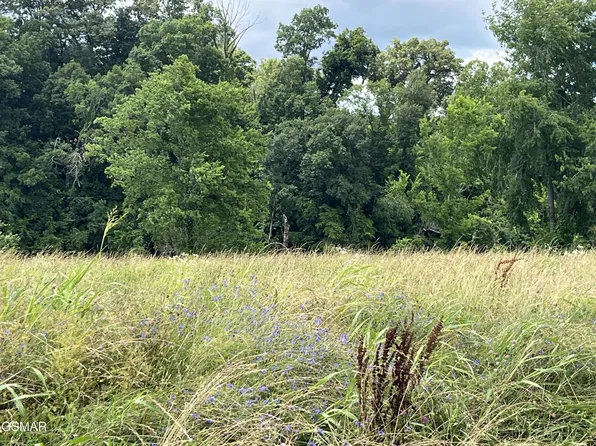 39 Tributary Dr Lot 39, Sevierville, TN 37876