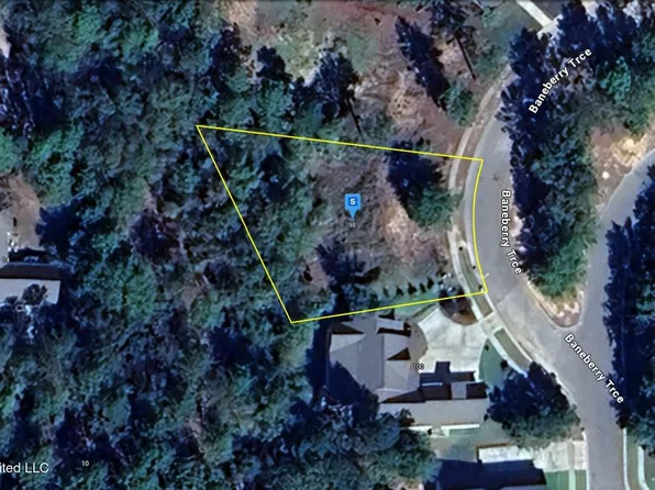 98 Baneberry Trce, Hattiesburg, MS 39402