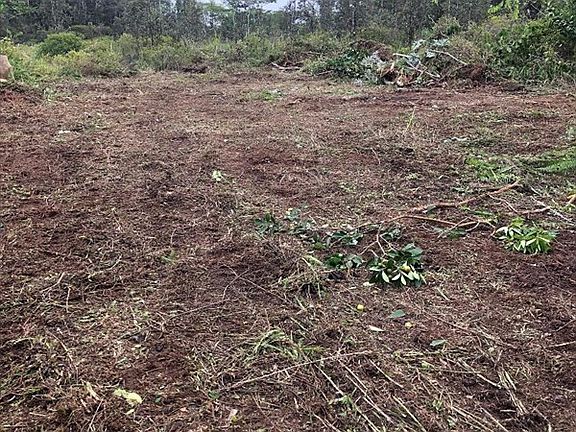 4th image of 16th Ave Lot 689