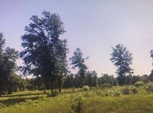 54 Hughes Rd, Collins, MS 39428