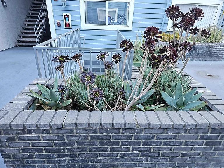 Sherman Way — Photo 6