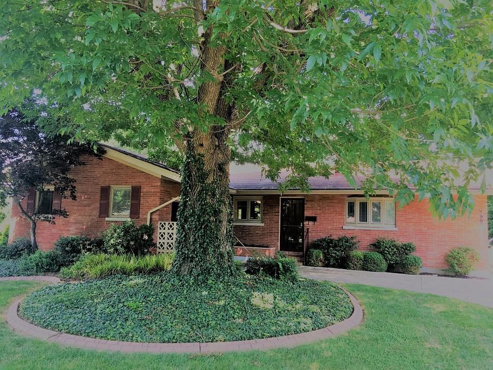 White Cedar Main