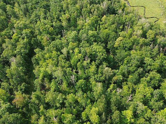 3rd image of 22751 County Road 1