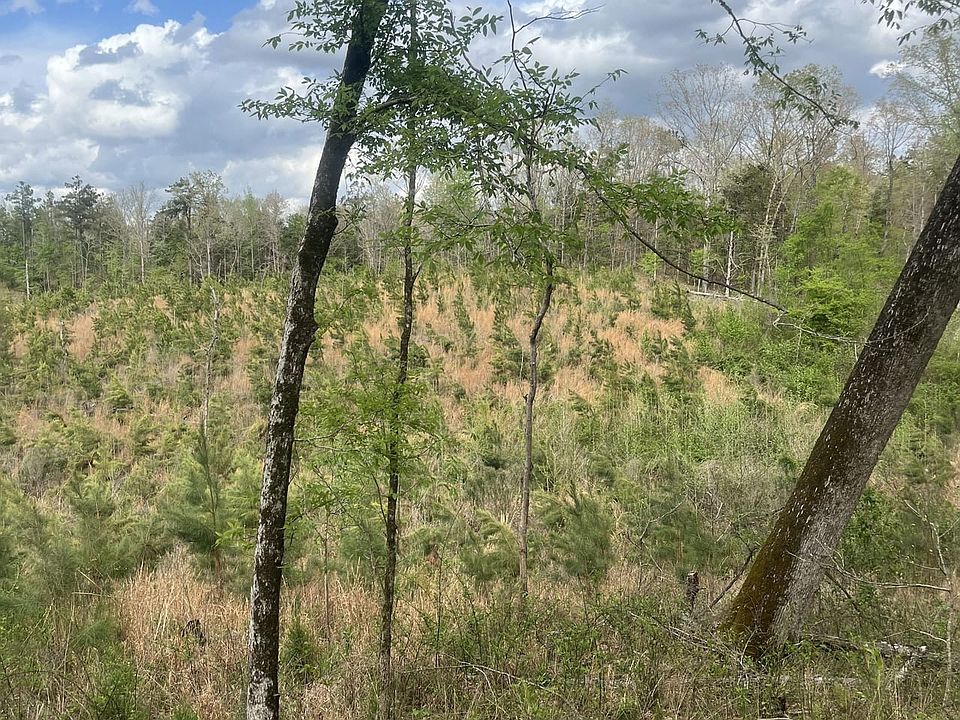 2nd image of County Road 78