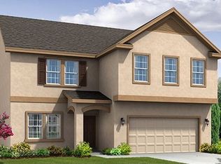 19223 Pepper Grass Dr, Tampa, FL 33647