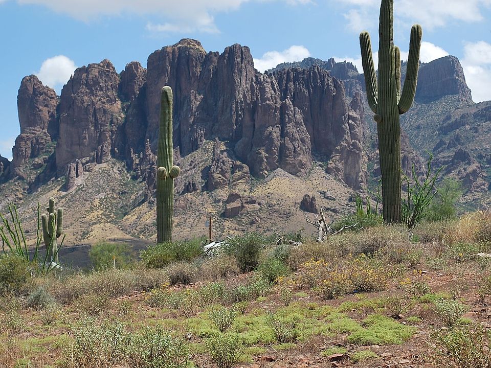 Lot view of Superstition Mountain