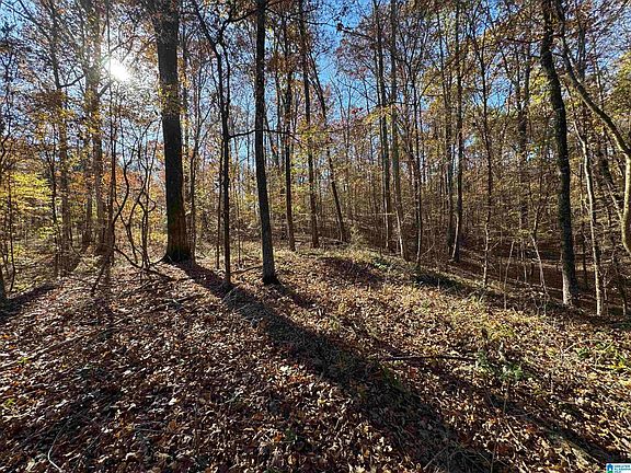 3rd image of 2270 Birmingham Rd