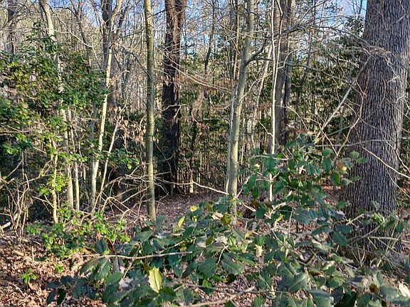 3rd image of 0 Bull Neck Rd