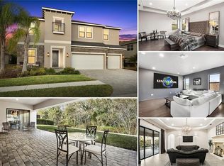 15149 Azra Dr, Odessa, FL 33556