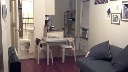 Rented by Majesty Management