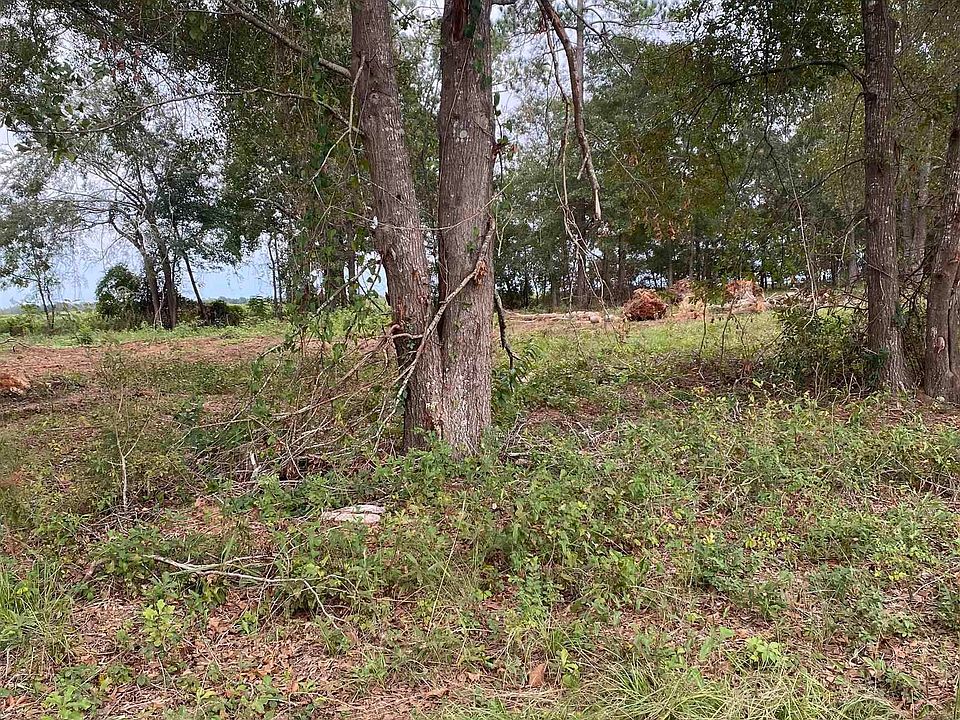 2nd image of C 12 Oak Dr