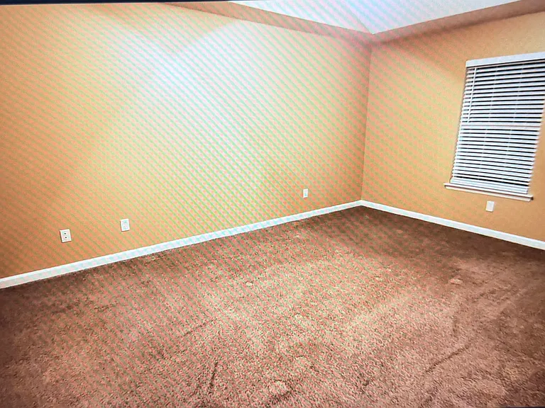 225 Sassafras Ln — Photo 4