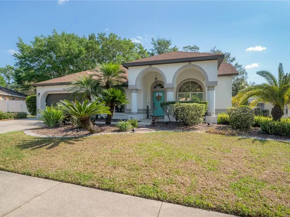 2909 Folklore Dr, Valrico, FL 33596