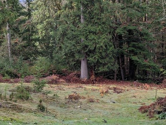 5th image of LOT 9 Mountain Rd