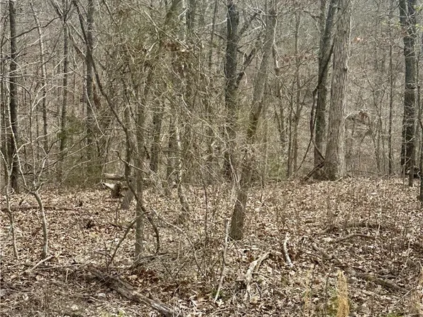 5 Aberdeen Dr, Bella Vista, AR 72715