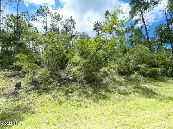 0 View Dr, Alford, FL 32420