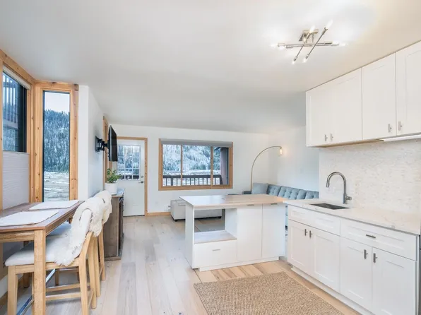 35 Pilot Knob Ln #301, Telluride, CO 81435