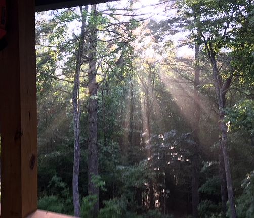 early evening view from deck