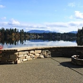 View from patio