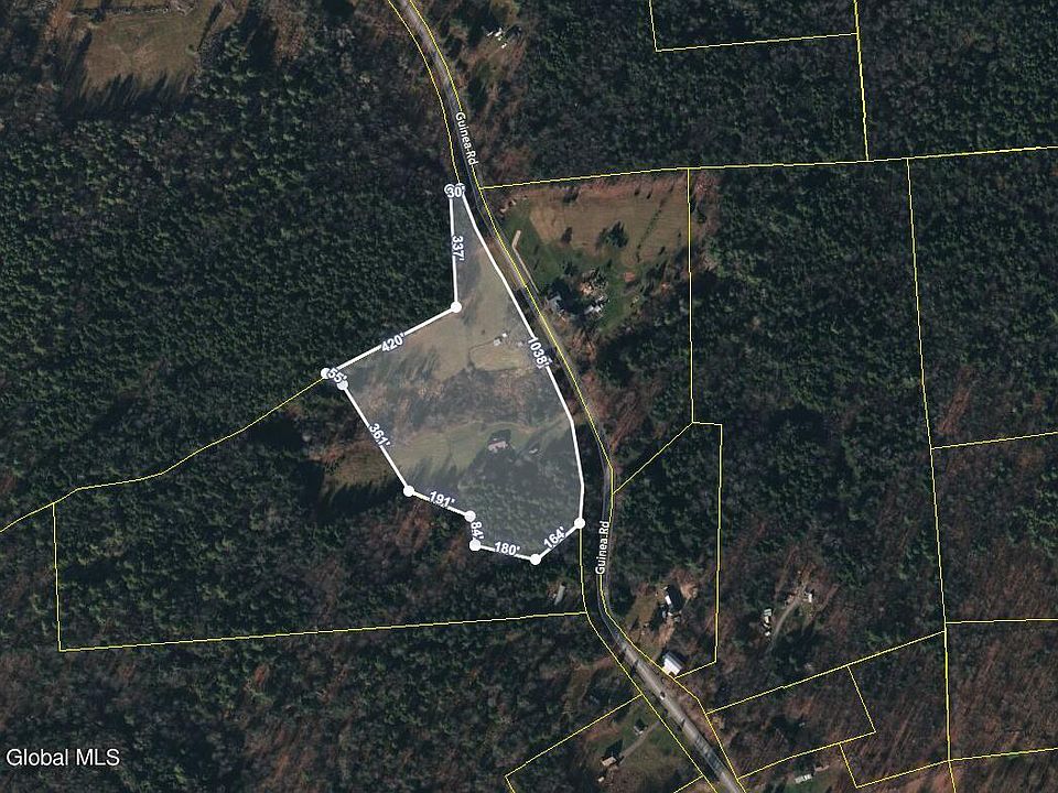 647 Guinea Road, Middleburgh, NY 12122 Zillow