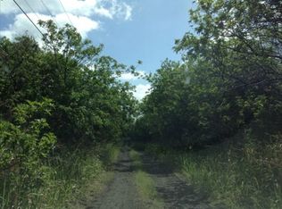 Palaoa Rd LOT 20, Naalehu, HI 96772