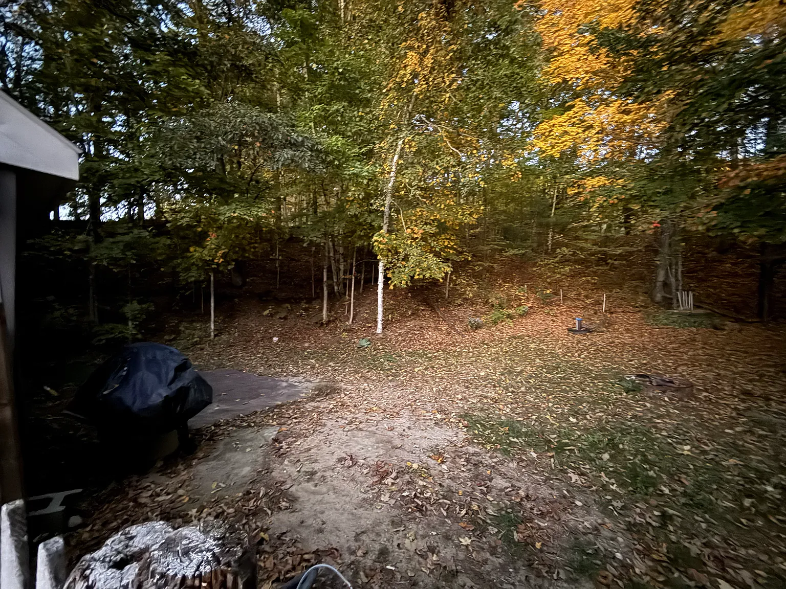 327 W Minot Rd — Photo 4