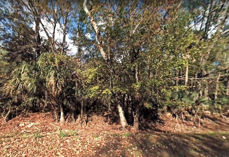 2nd image of 2550 Maytown Rd