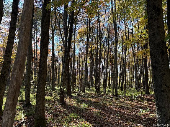 3rd image of ROW off Chaffee Road
