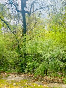 16 Gardiner Pl, Laurel, MS, 39440