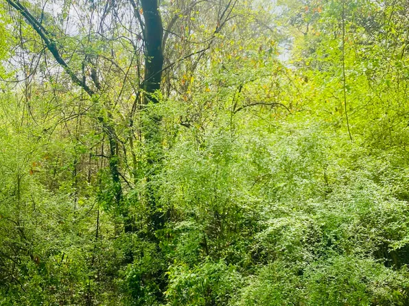 16 Gardiner Pl, Laurel, MS 39440