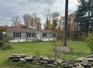 671 Washburn Rd, Spencer, NY 14883