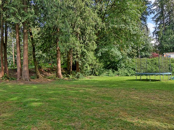 Lots of grass & shade trees