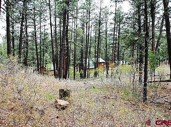 4th image of 318 Antelope Dr