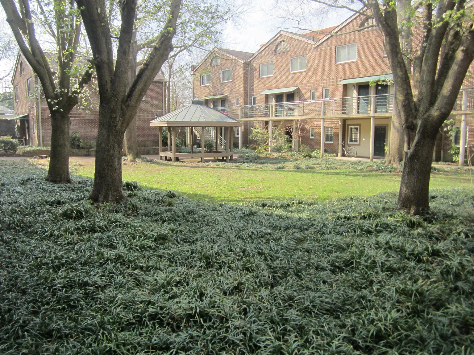 1 bed, $2,000 — Photo 2