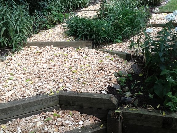 Natural Pathways