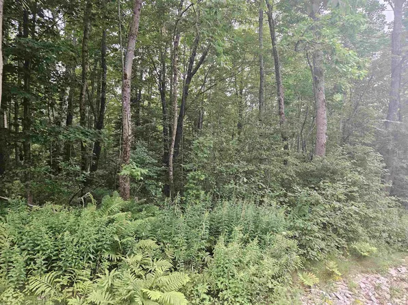 Lot 36 & 37 Agassiz Street, Bethlehem, NH 03574