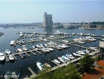 Harbor View