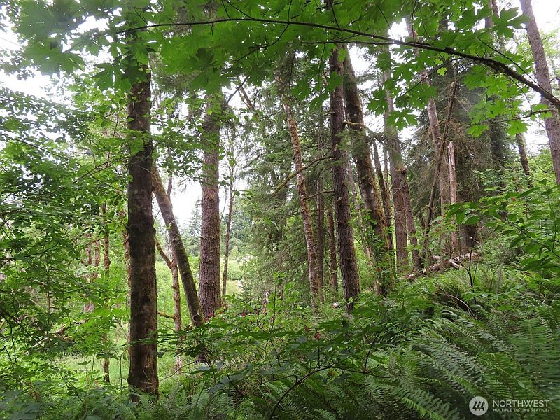 5th image of 21720 Zenkner Valley Road SW