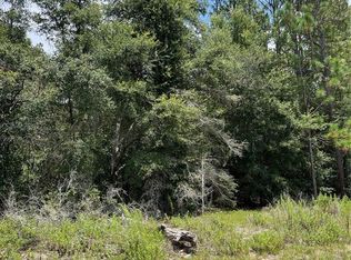 SW 59th Ln LOT 12, Dunnellon, FL 34431