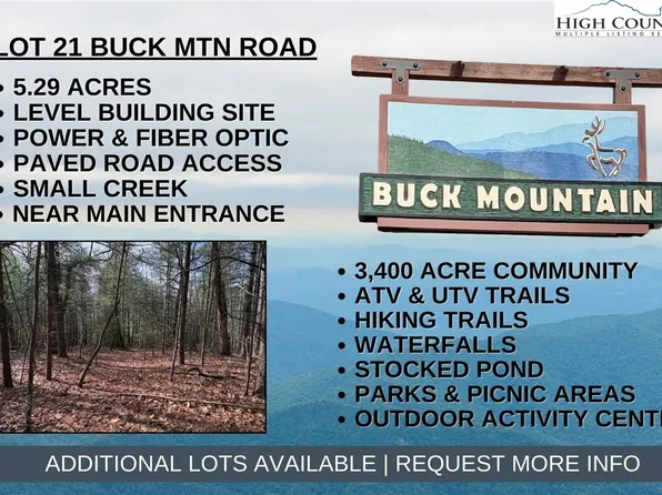 Lot 21 Buck Mountain Road, Purlear, NC 28665