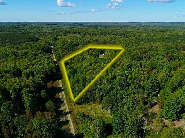 11349 W 10th Rd, Copemish, MI 49625