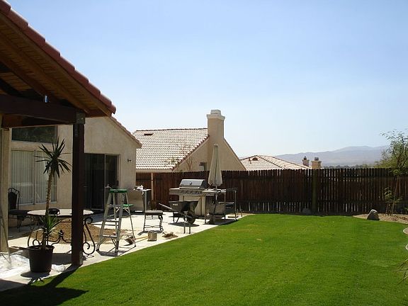 Large back yard