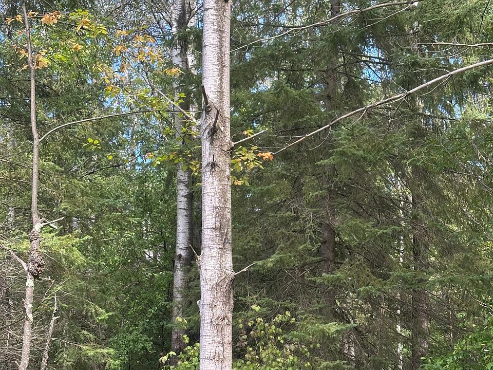 1st image of On Swamp Lake Rd